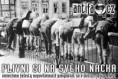 /album/antifa/plivni-si-na-sveho-nacka-jpg/